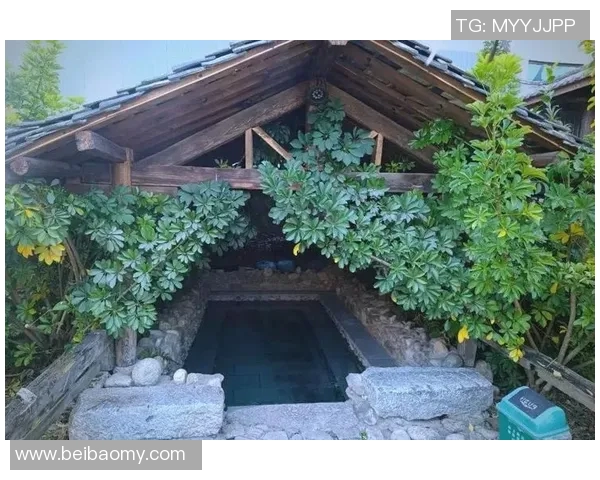 温泉度假胜地：享受自然与泳装完美融合的浪漫时光